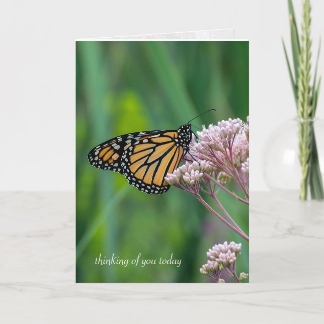 Tarjeta mantequilla del monarca en milkweed (Anverso)