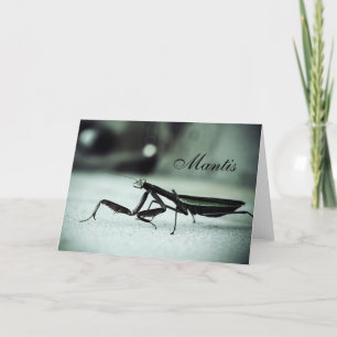 Tarjeta Mantis rezando