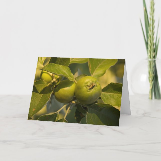 Tarjeta manzanas verdes (Anverso)