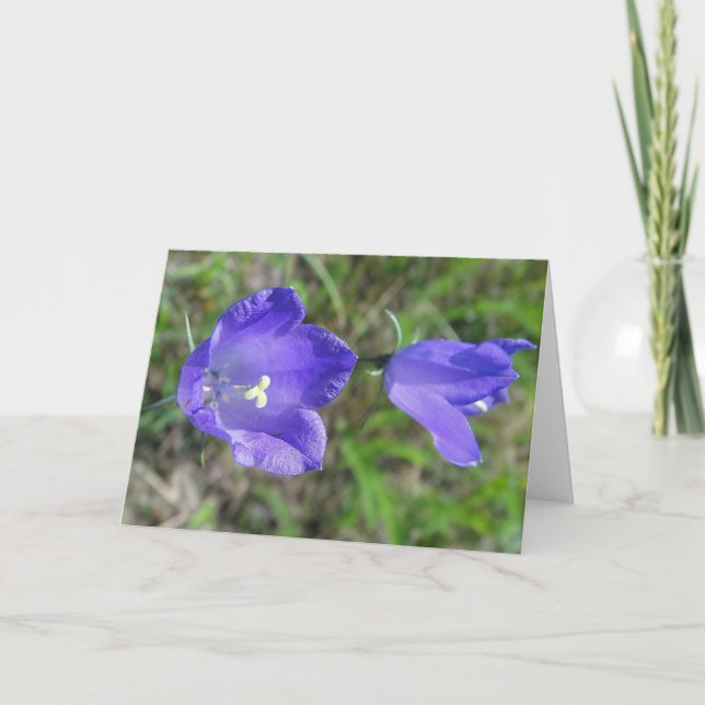 Tarjeta Mapa de saludo par azul de flores de leña, en blan (Anverso)