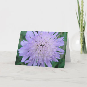 Tarjeta Mapa de saludo Scabiosablüte, moldeable en blanco