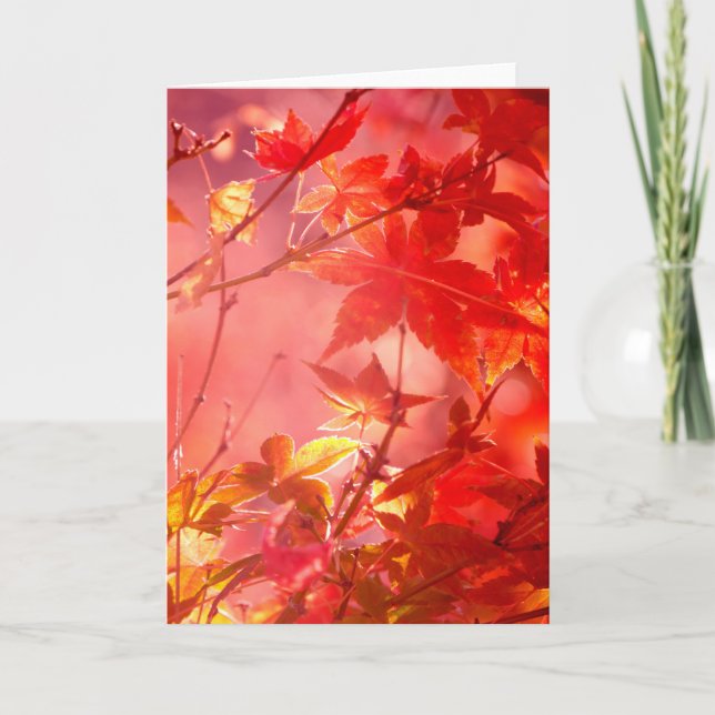 Tarjeta Maple (Anverso)