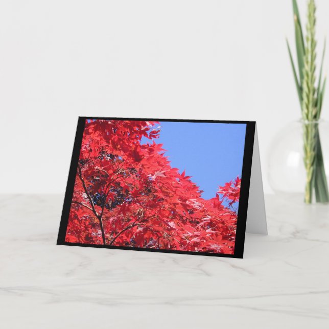 Tarjeta Maple japonés (Anverso)