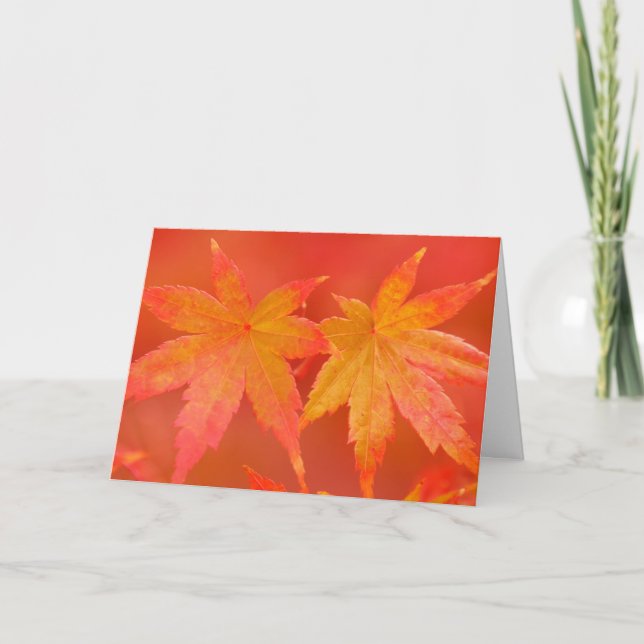 Tarjeta Maple japonés (Anverso)