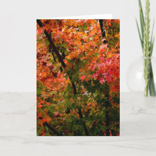 Tarjeta Maple japonés en caída