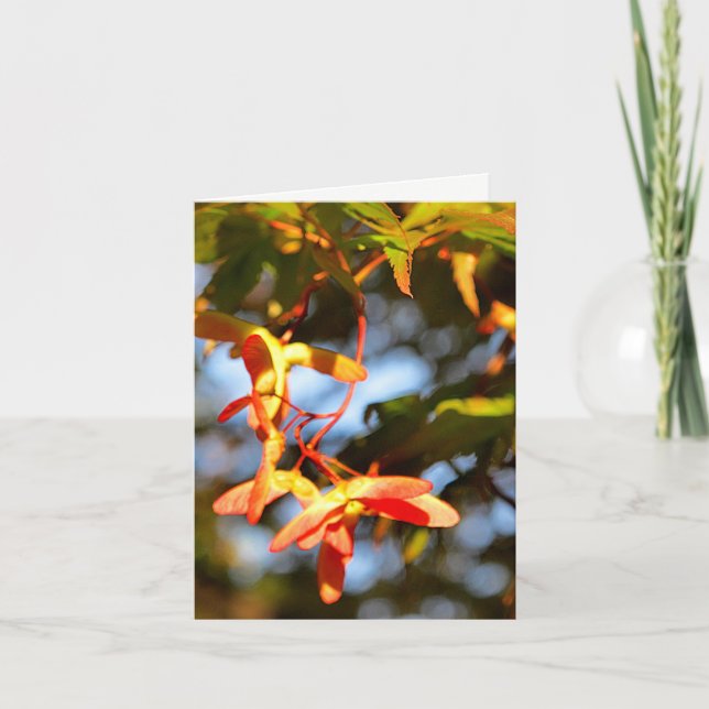 Tarjeta Maple Seed Pods Blank Notecard (Anverso)