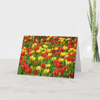 Tarjeta Mar de Tulipanes