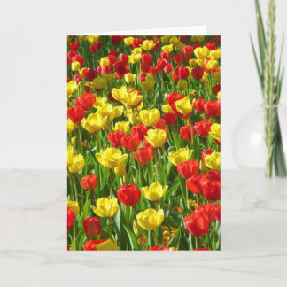 Tarjeta Mar de Tulipanes
