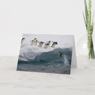 Tarjeta Mar Paulette de los pingüinos el de Adelie