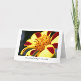 Tarjeta Maravilla alegre del bufón - suerte con su