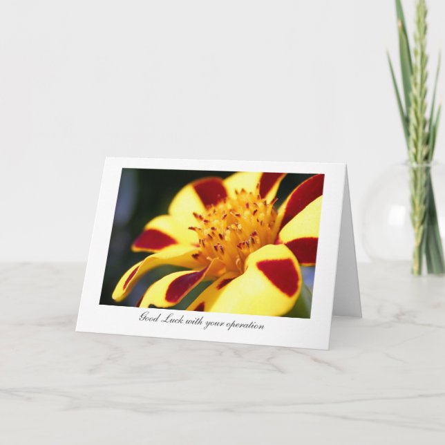 Tarjeta Maravilla alegre del bufón - suerte con su (Anverso)