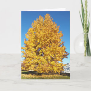 Tarjeta Maravilla de la creación/otoño