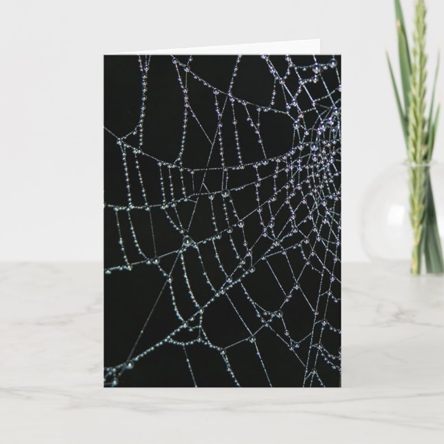 Tarjeta Maravilla del Web (Anverso)