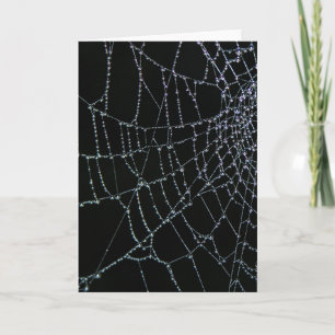 Tarjeta Maravilla del Web