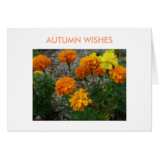 Tarjeta Maravillas, deseos del otoño