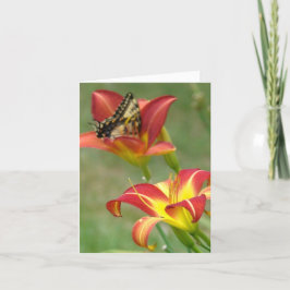 Tarjeta Maravillas más allá