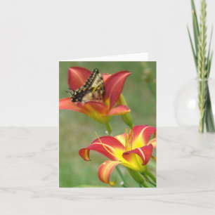 Tarjeta Maravillas más allá