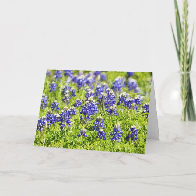 Tarjeta Maravilloso Bluebonnets Scripture Card Salm 72:18 (Anverso)