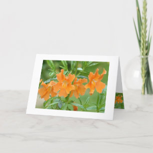 Tarjeta Maravilloso Mimulus Notecard