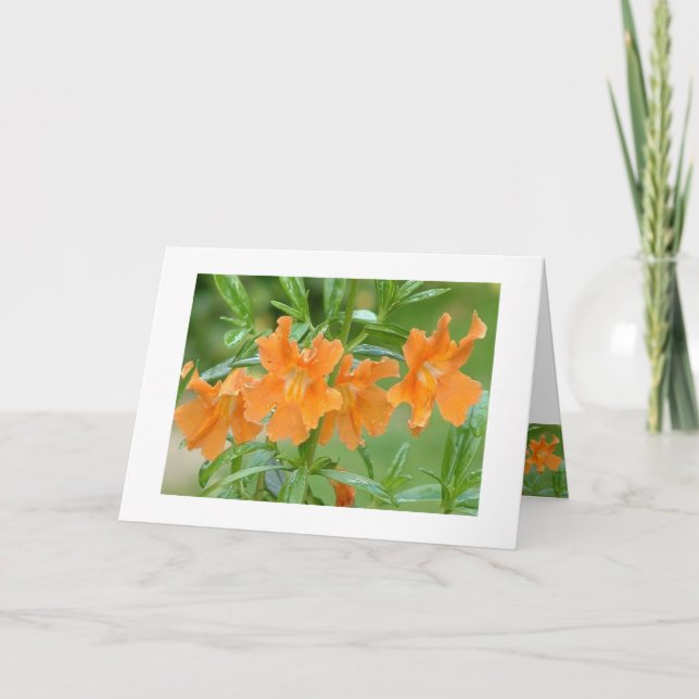Tarjeta Maravilloso Mimulus Notecard (Anverso)