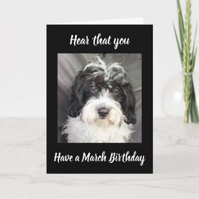 TARJETA ***MARCH BIRTHDAY*** WISHES TO A SPECIAL PERSON! (Anverso)