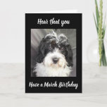 TARJETA ***MARCH BIRTHDAY*** WISHES TO A SPECIAL PERSON!<br><div class="desc">SEND THIS COOL ****FOR THE MARCH BIRTHDAY GUY OR GAL**** WHO LIKES "CUTE PUPPIES"
AND CHECK OUT MY "OTHER MONTHS" AND YOU CAN CHANGE THE MONTH ON THIS ONE IN SECONDS!!!!</div>