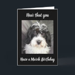 TARJETA ***MARCH BIRTHDAY*** WISHES TO A SPECIAL PERSON!<br><div class="desc">SEND THIS COOL ****FOR THE MARCH BIRTHDAY GUY OR GAL**** WHO LIKES "CUTE PUPPIES"
AND CHECK OUT MY "OTHER MONTHS" AND YOU CAN CHANGE THE MONTH ON THIS ONE IN SECONDS!!!!</div>