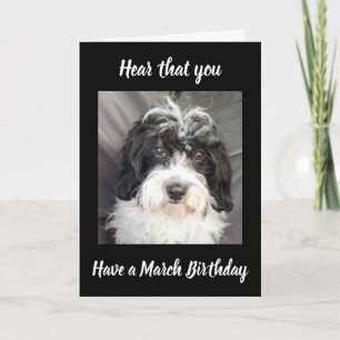 TARJETA ***MARCH BIRTHDAY*** WISHES TO A SPECIAL PERSON!