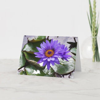 Tarjeta marco de cumpleaños Purple Flower 7x5