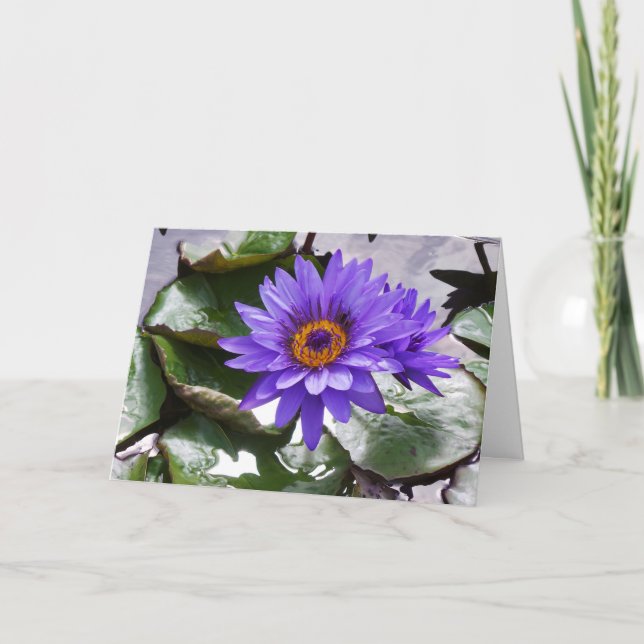 Tarjeta marco de cumpleaños Purple Flower 7x5 (Anverso)