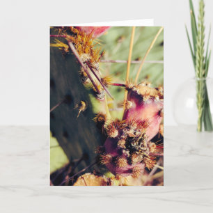 Tarjeta Marco de título de texturas SW