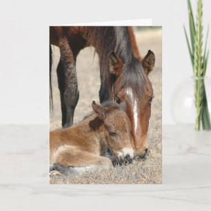 Tarjeta Mare con Colt