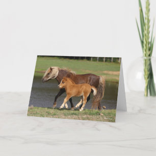 Tarjeta Mare en miniatura y peatones caminando a orillas d