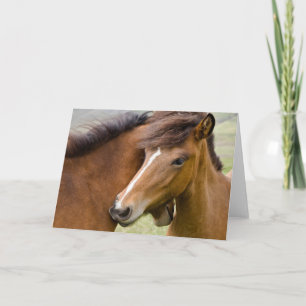 Tarjeta Mare Y Colt