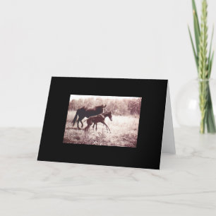 Tarjeta Mare y Foal