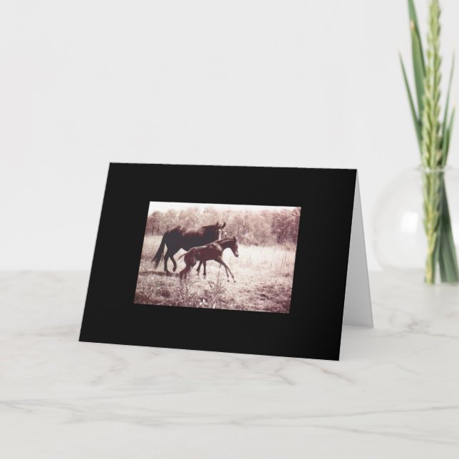 Tarjeta Mare y Foal (Anverso)