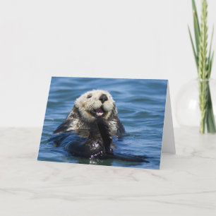 Tarjeta Mares de California (Otter Enhydra lutris)