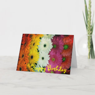 Tarjeta Margarita colorida del Gerbera del card~ del
