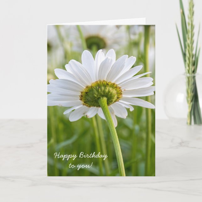 Tarjeta margarita-cumpleaños blanco (Anverso)