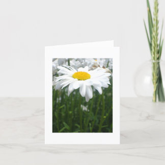 Tarjeta Margarita de la primavera