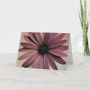 Tarjeta Margarita de Lavendar