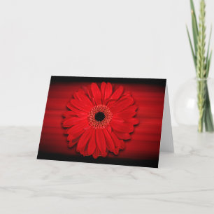 Tarjeta Margarita Gerber Roja Personalizable En Blanco Por