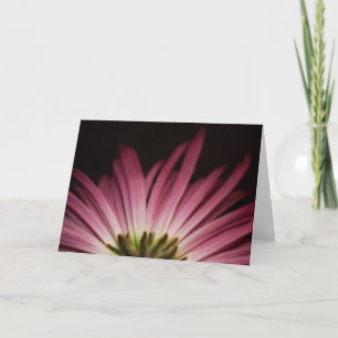 Tarjeta Margarita púrpura marchitada