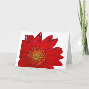 Tarjeta Margarita roja del Gerbera