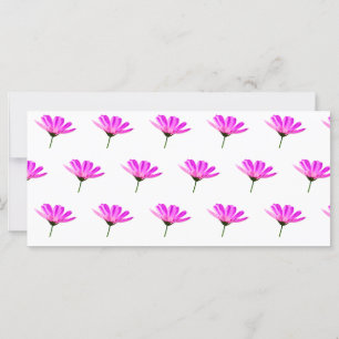 Tarjeta Margarita Rosa