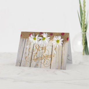 Tarjeta margaritas blancas en madera con burlap