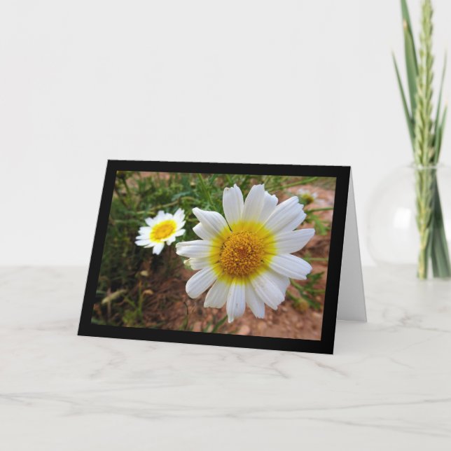 Tarjeta Margaritas Comunes (Anverso)