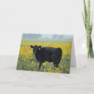 Tarjeta Margen negro en un campo de girasoles