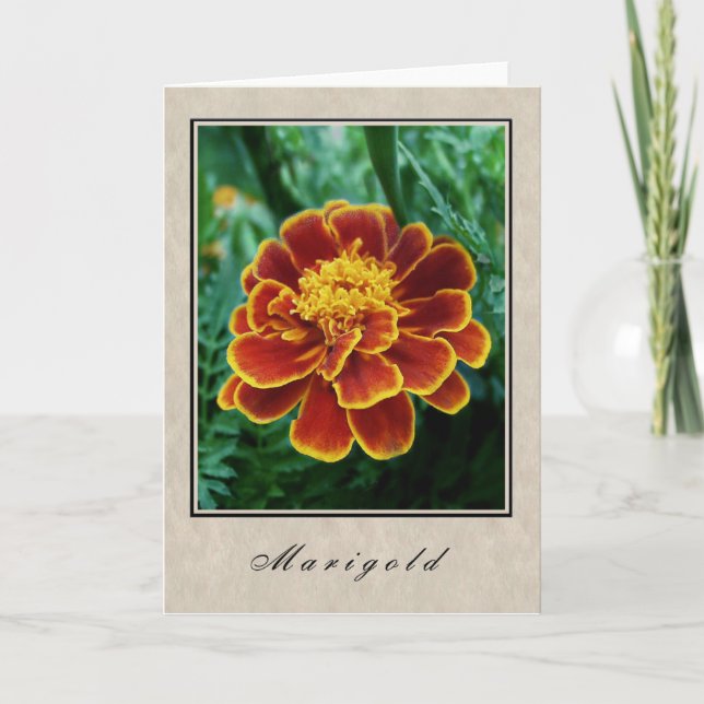 Tarjeta Marigold - Serie Floral (Anverso)