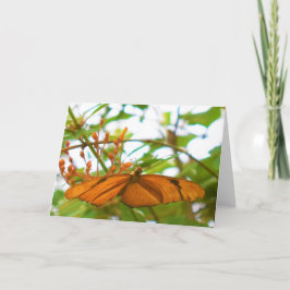 Tarjeta Mariposa